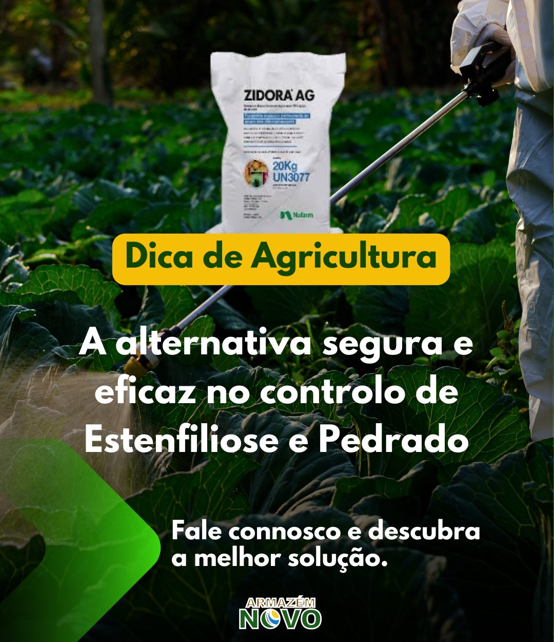 Dica de agricultura